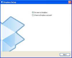 Online storage software for windows: Dropbox Download
