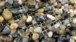 One of the things we love most about south carolina is there are so many ways to engage in outdoor fun the entire family can enjoy. Shark Tooth Hunting In North Carolina Youtube