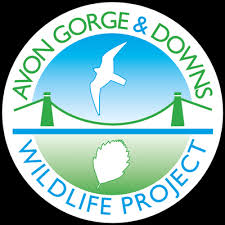 Jul 03, 2020 · ricketts glen state park is located mostly in luzerne county, pennsylvania, with small sections in sullivan county and columbia county. Leigh Woods Avon Gorge Downs Wildlife Project