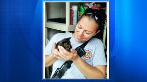 Lake County firefighter rescues, adopts kitten stuck beneath...