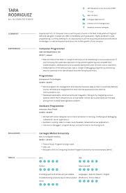 programmer resume: examples, template