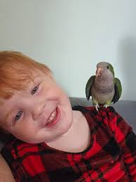 What are these baby birds and how to care for them?