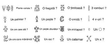 (nu e proastă și nu e nici o persoană incultă.) nici o2 conjcț. Rongorongo Wikipedia