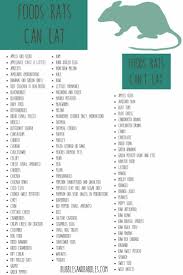 Maybe you would like to learn more about one of these? Pin On Rat