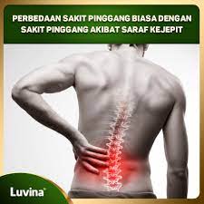 Sakit Pinggang In English Malayfeers
