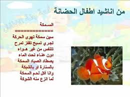 نشيد السمكة Learning Arabic Arabic Kids Arabic Alphabet Letters