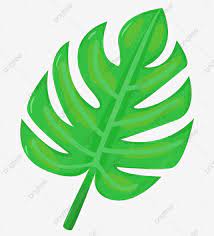 زخرفة الورقة الخضراء اوراق اشجار النباتات ديكورات Png وملف Psd للتحميل مجانا In 2021 Leaf Decor Plant Leaves Plants
