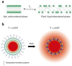 Nanomaterials Free Full Text Thermo Sensitive Nanomaterials Recent Advance In Synthesis And Biomedical Applications Html