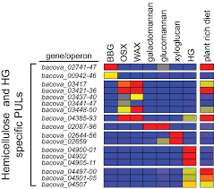 Plant cell walls represent the most abundant renewable resource on this planet. Plos Biology Recognition And Degradation Of Plant Cell Wall Polysaccharides By Two Human Gut Symbionts