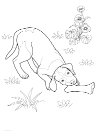 3248 joc puzzle cu 99 piese.reprez in ta o scena d in in dragitul film de desene animate w in nie the pooh.dimen si uni : Caine Planse De Colorat Si Educative