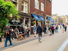Boasting an extensive menu, it was the first coffeeshop to package and weight its product for customers to see. Die 11 Besten Coffeeshops In Amsterdam Der Ultimative Guide