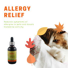 Here's a summary of the types of allergy medications and why they're used. Alge Ex For Cats Natural Pet Remedies Allergy Remedies Cat Allergies