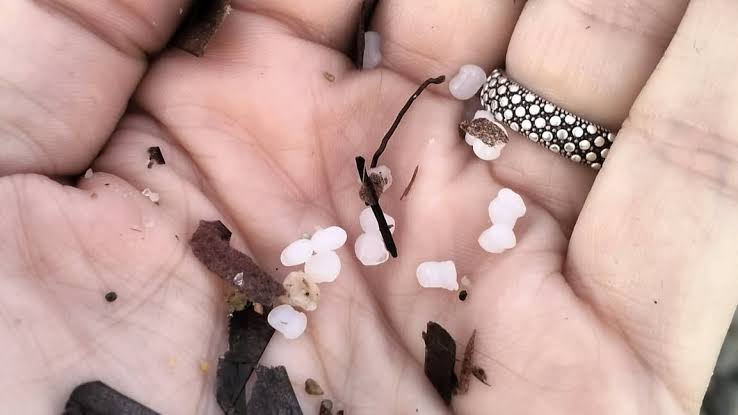 Poetto invaso da migliaia di microsfere di plastica, scattano le indagini -  Cagliaripad.it | Notizie della Sardegna in tempo reale
