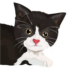 cute cat sitting all elements grouped and layered files in eps 10 stock illustration cute cat cat stock illustration