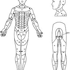 location of the key sensory points for each dermatome