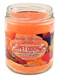 This ultimate essence of warm, delicious, creamy vanilla is a favorite. Pet Odor Exterminator Candles Mutneys Professional Pet Care