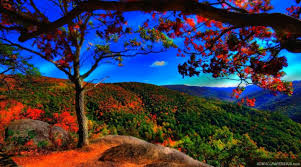 Download kame house dragon ball z wallpaper for free in different resolution ( hd widescreen 4k 5k 8k ultra hd ), wallpaper support different devices like desktop pc or laptop, mobile and tablet. Nature Wallpaper Android 4k 2160x3840 Wallpaper Teahub Io