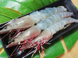 足 赤 海老 値段