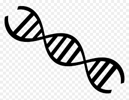 Medical biology dna genetics, dna, angle, text, biology png. Dna Clipart Transparent Background Hd Png Download Vhv
