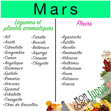 C'est aussi le moment de bichonner son potager en effectuant des plantations. Legumes A Planter En Mars Conseils De Nos Jardiniers