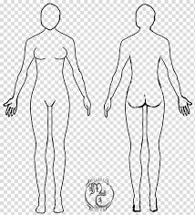 If you are good at drawing one particular body part in one view but not so much in another this can help the shape of the body (when drawing the front view) should be similar to an hourglass. Human Body Template Female Human Body Illustration Transparent Background Png Clipart Hiclipart