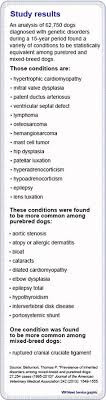 227 Best Pre Vet Images Veterinary Medicine Vet Med