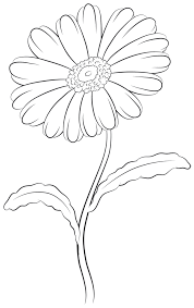 See more ideas about flower outline, flower drawing, flower sketches. How To Draw A Daisy Step By Step Daisy Drawing Flower Drawing Tumblr Flower Drawing