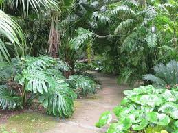 Botanicheskij Sad V Malage Botanical Garden In Malaga Jardin Botanico Historico La Conception Jardines Tropicales Jardines Y Jardineria