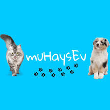 Mugla Hayvan Severler Koruma Ve Sahiplendirme About Facebook