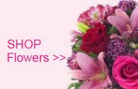 Thanks to this dense florist network it is. Tennessee Gifts Same Day Delivery Fast Gifts