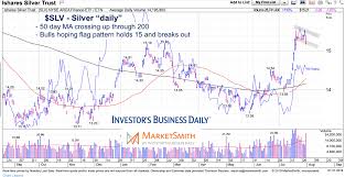 silver rally has attention of precious metals bulls see it