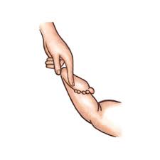 Image result for Babinski Reflex