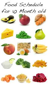 They can bite, but it is still difficult to properly chew. Food Schedule For 10 Month Baby Fun With Kids