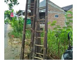Misalnya tunas bambu yang masih muda dan empuk bisa dimasak untuk dikonsumsi. Pusat Kerajinan Bambu Dan Kayu Jual Tangga Bambu Termurah Di Jogja