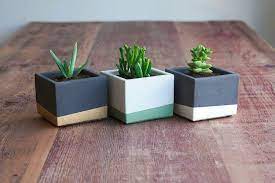 Beton Saksi Modelleri Saksi Cement Planters Etli Yaprakli Bitkiler