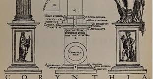 Image result for Plinthus