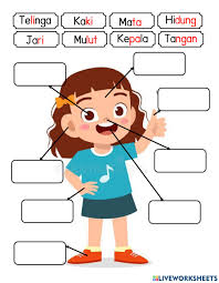 Google's free service instantly translates words, phrases, and web pages between english and over 100 other languages. Anggota Badan Saya Interactive Activity