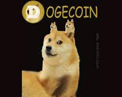 You can mine dogecoin either solo, or by joining a mining pool. Never Ending Dogecoin Gif Viral Chop Video