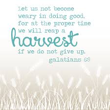 Galatians 6 9 More At Http Design Christianpost Com Giving Up Quotes Bible Quotes Don T Give Up Quotes