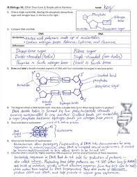 Deoxyribose nucleic acid (or dna for short) is the building block of life, and dna replication is an essential biological process to the continuation of life. Pin On Tutoring