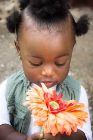 Brown Bee Photography