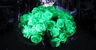 White flowers work in a variety of garden and landscape settings from country to formal. Asda Launches Ghoulish New Glow In The Dark Roses For Halloween Daily Star