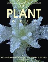 Knowing the components of cells and. The Plant Cell Wikiwand