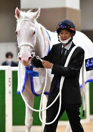 検索するカテゴリーを選択します。 すべてのカテゴリー audible・オーディオブック amazon デバイス kindleストア prime video alexaスキル amazon定期おトク便 デジタルミュージック. é˜ªç¥žï½Šï½† ç™½æ¯›ã®ã‚¢ã‚¤ãƒ‰ãƒ« ã‚½ãƒ€ã‚·ç™»å ´ ã‚µãƒ³ã‚¹ãƒzbat ç«¶é¦¬