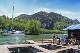 Here, we practise a unique ecotourism, with added value of edutourism and geotourism. Kilim Geoforest Park The Soaring Spirits In Langkawi Malaysia The Poor Traveler Itinerary Blog