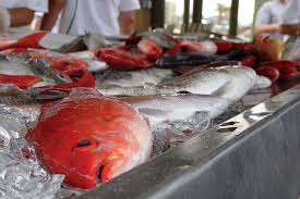 Here are a few of the places that will show you and your faithful friend to a. Get Info About What Gulf Seafood Is In Season In Spring