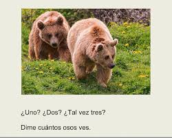 We did not find results for: Easy Spanish Books Pdf For Kids Spanish Playground