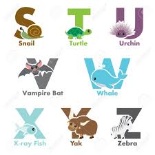 Use this guide to discover beginner's animation tips. A Illustration Of Alphabet Animals From S To Z Royalty Free Cliparts Vectors And Stock Illustration Image 16041697
