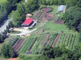 Pin On Other Great Organizations