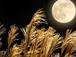 We always see the same side of the moon, but part of it is in shadow. Full Moon Calendar 2021 When Is The Next Full Moon Dates Names The Old Farmer S Almanac